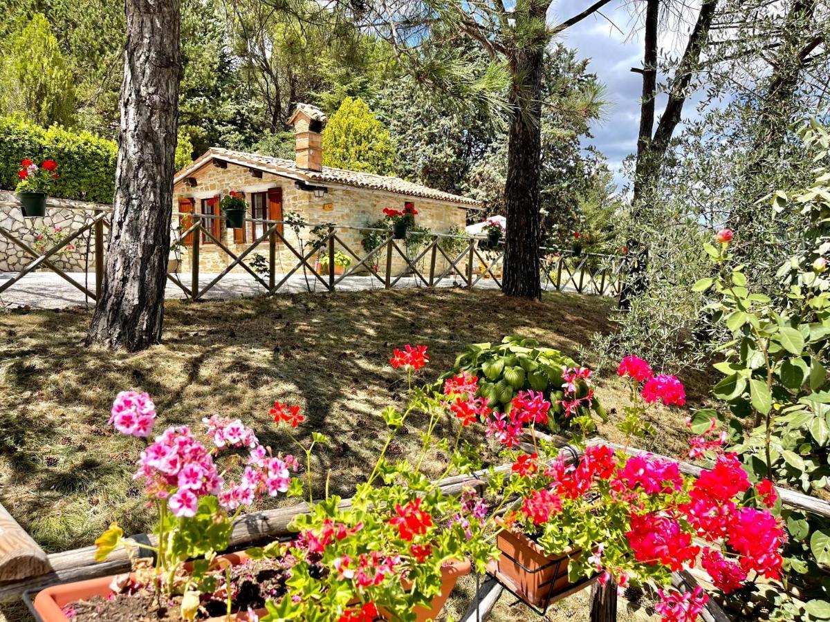 La Panoramica Gubbio - Maison De Charme - Casette E Appartamenti Self Catering Per Vacanze Meravigliose! מראה חיצוני תמונה