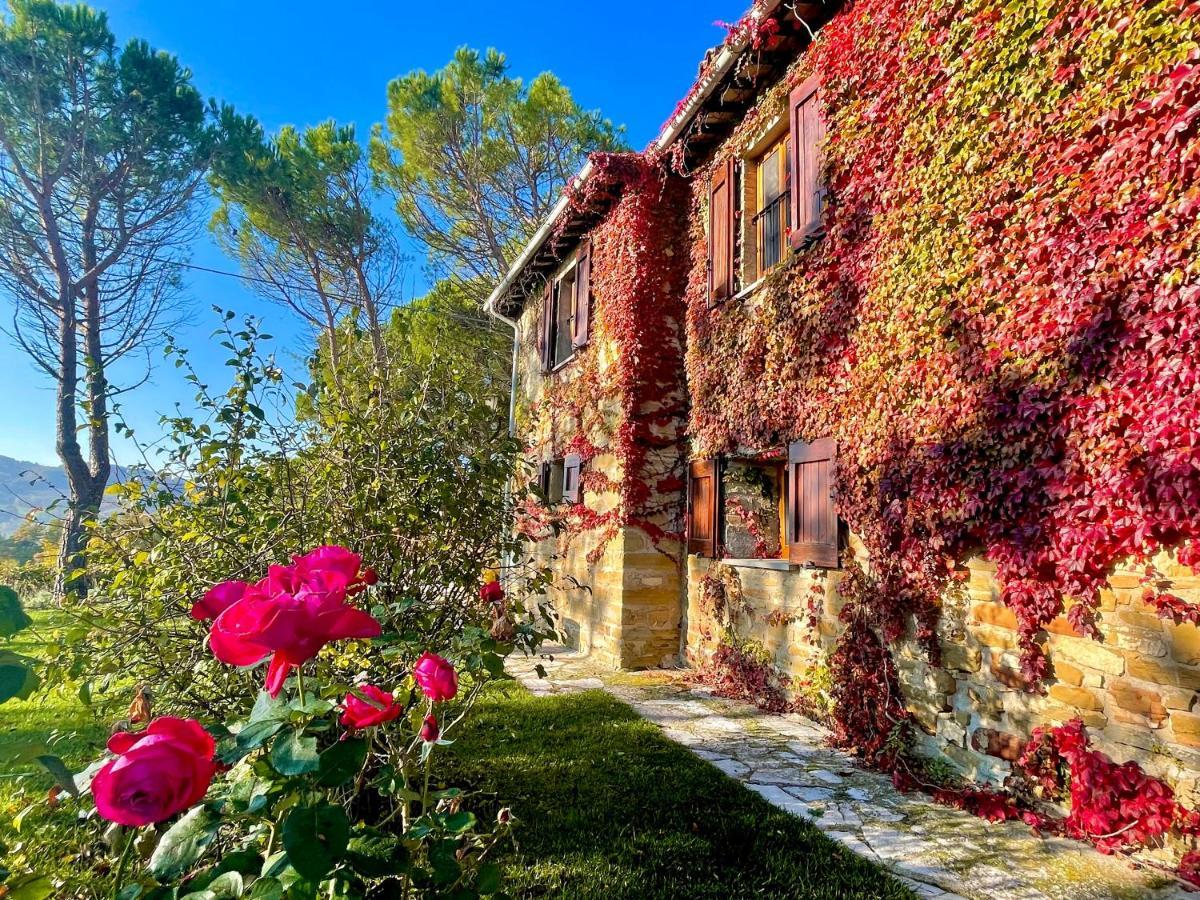 La Panoramica Gubbio - Maison De Charme - Casette E Appartamenti Self Catering Per Vacanze Meravigliose! מראה חיצוני תמונה