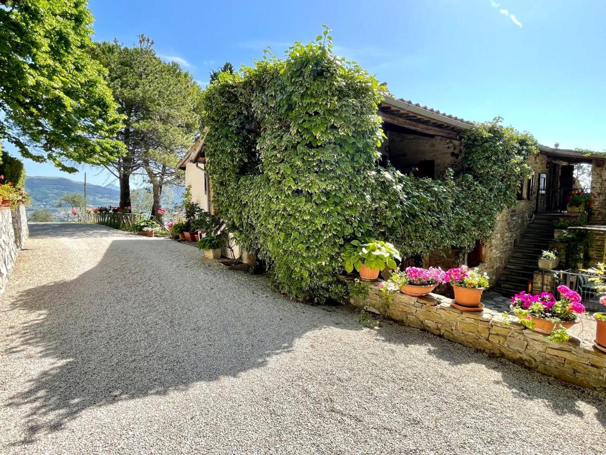 La Panoramica Gubbio - Maison De Charme - Casette E Appartamenti Self Catering Per Vacanze Meravigliose! מראה חיצוני תמונה