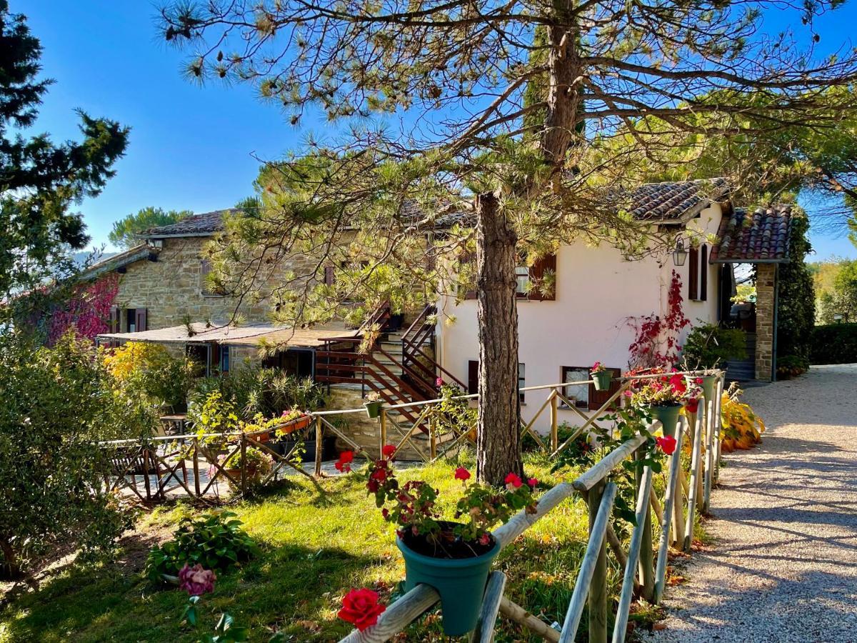 La Panoramica Gubbio - Maison De Charme - Casette E Appartamenti Self Catering Per Vacanze Meravigliose! מראה חיצוני תמונה