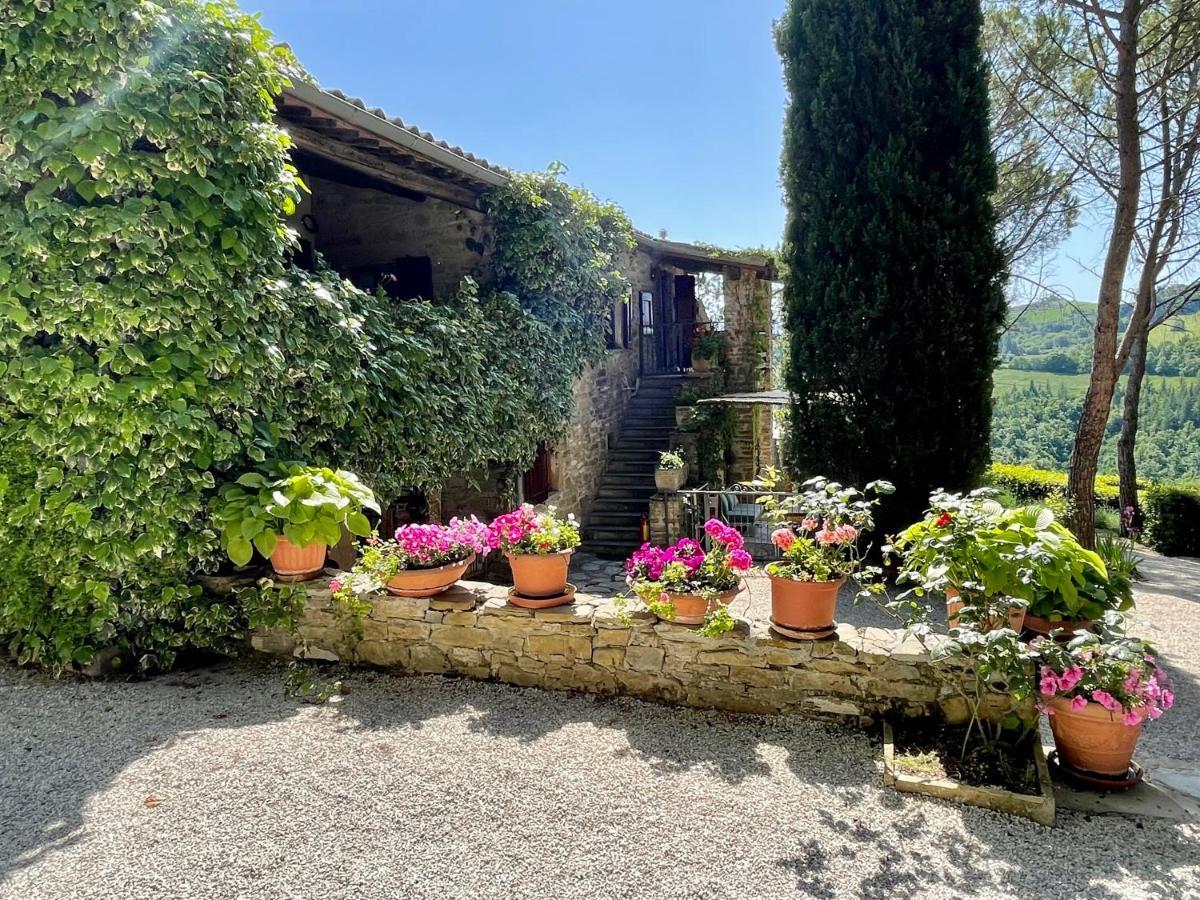 La Panoramica Gubbio - Maison De Charme - Casette E Appartamenti Self Catering Per Vacanze Meravigliose! מראה חיצוני תמונה