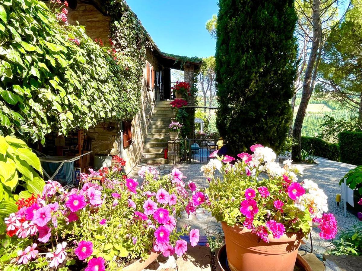 La Panoramica Gubbio - Maison De Charme - Casette E Appartamenti Self Catering Per Vacanze Meravigliose! מראה חיצוני תמונה